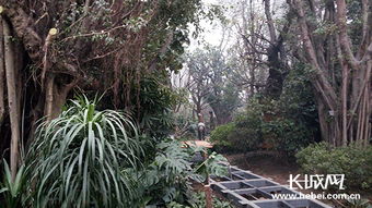 唐山世园热带植物馆 有奥秘 有魅力