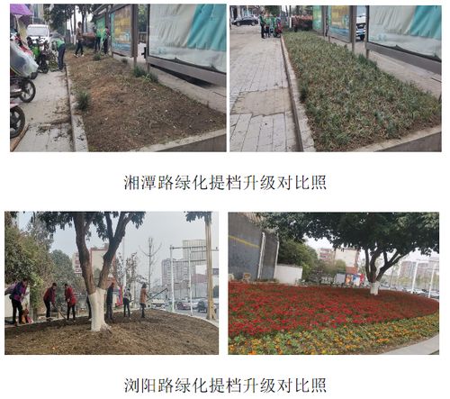 广汉市综合行政执法局 园林绿化提档升级,城区面貌焕然一新
